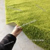 Зеленый Овальный Длинноворсный Ковер